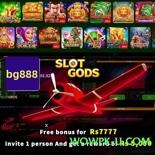 winpkr Mega v4.1.0 Screenshot 1